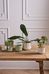 Everleaf Pots By Accent Decor