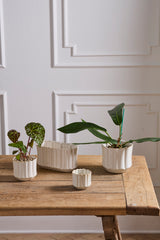 Everleaf Pots By Accent Decor