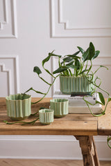 Everleaf Pots By Accent Decor