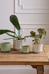 Everleaf Pots By Accent Decor