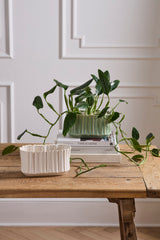 Everleaf Trough Vessels By Accent Decor