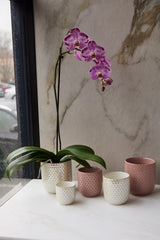 Everly Ceramic Pots By Accent Decor