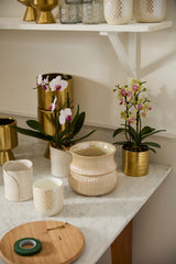 Everly Ceramic Pots By Accent Decor
