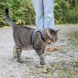 Adjustable Cat Wrap Harness with 6' Leash