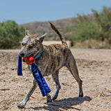 KONG Tails Dog Toy, Large - view 3