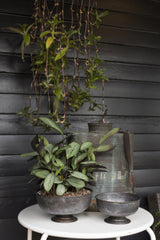 Fable Metal Compotes By Accent Decor