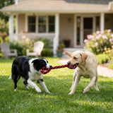 KONG Signature Rope Double Tug Dog Toy, 22" - view 3