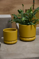 Fara Matte Carved Pots By Accent Decor