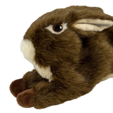 KONG Wild Low Stuff Rabbit Plush Dog Toy, Medium - view 5