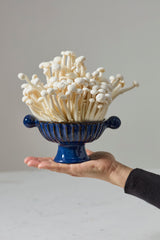 Finnegan Bowl By Accent Decor