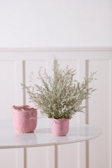 Floretta Pots By Accent Decor