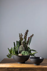 Fortis Matte Ceramic Bowls By Accent Decor
