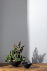 Fortis Matte Ceramic Bowls By Accent Decor