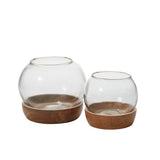 Full View Glass Terrarium By Accent Decor