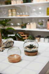 Full View Glass Terrarium By Accent Decor