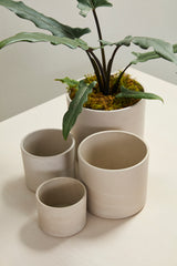 Fulton Textured Ceramic Pots By Accent Decor