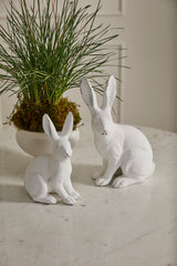 Garden Rabbit Sculptural Matte Figurines By Accent Decor