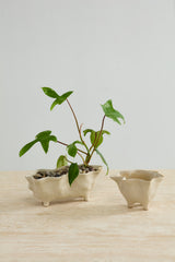 Glaslow Planters By Accent Decor