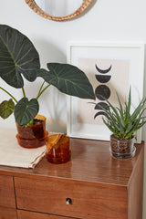 Glass with Saucer Pots By Accent Decor