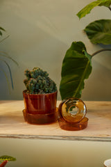 Glass with Saucer Pots By Accent Decor
