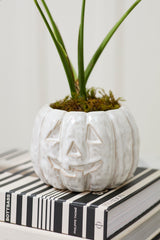 Glazed Pumpkin Pot By Accent Decor