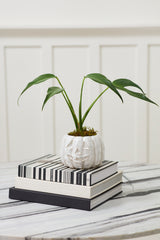 Glazed Pumpkin Pot By Accent Decor