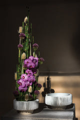 Grayton Ceramic Compotes By Accent Decor