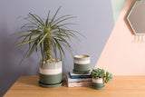 Greer Ceramic Pots By Accent Decor