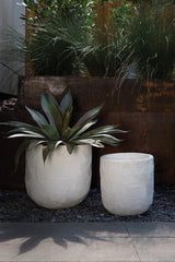 Greta Textured Concrete Pot By Accent Decor