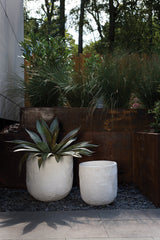 Greta Textured Concrete Pot By Accent Decor