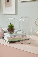Griffith Footed Glass Terrariums By Accent Decor