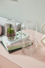 Griffith Footed Glass Terrariums By Accent Decor