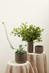 Habitat Textured Ceramic Pots By Accent Decor