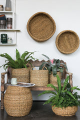 Hacienda Natural Fibers Baskets (Set of 3) By Accent Decor