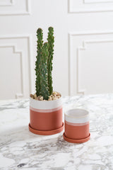 Hadley Ceramic Pots By Accent Decor