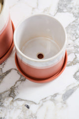 Hadley Ceramic Pots By Accent Decor