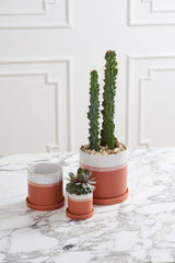 Hadley Ceramic Pots By Accent Decor