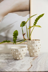 Hanover Pots By Accent Decor