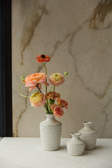 Hari Ceramic Bud Vases By Accent Decor