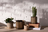 Hawthorne Ceramic Pots By Accent Decor