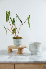 Hayden Pots By Accent Decor