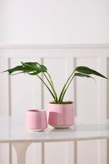 Heather Pots By Accent Decor
