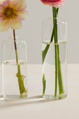 Highball Glass Bud Vases By Accent Decor