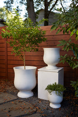 Hilltop Concrete Decorative Urn By Accent Decor