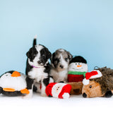 ZippyPaws Holiday Squeakie Buddies No-Stuffing Plush Dog Toy 3-Pack