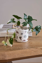 Homebody Club Pot By Accent Decor