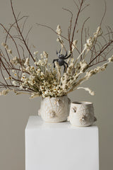 House Spider Pots By Accent Decor
