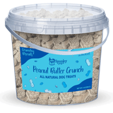 Spunky Pup Bucket of Biscuits Peanut Butter Crunch Dog Treats, 4 lb