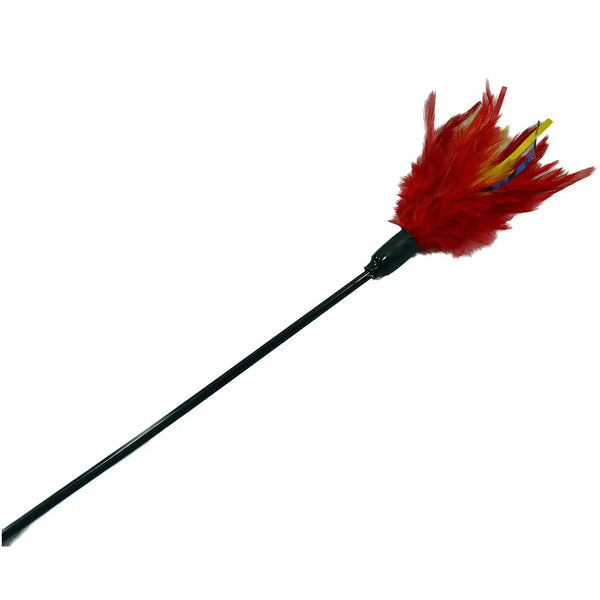 Amazing Pet Products Amazing Pet Products Cat Wand Teaser Toy