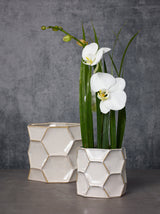 Jabi Ceramic Pots By Accent Decor